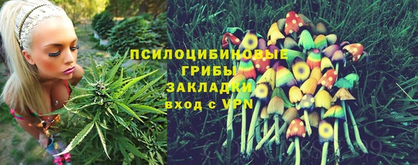 соль курить ск Алексеевка