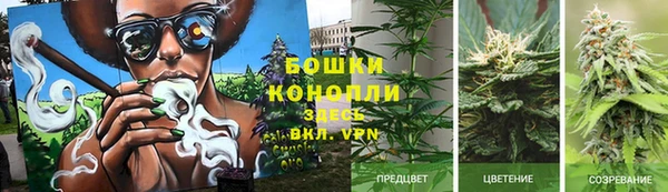 соль курить ск Алексеевка
