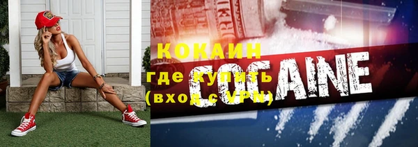 тгк Алзамай