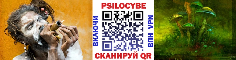 ссылка на мегу tor Артёмовский Псилоцибиновые грибы Psilocybe